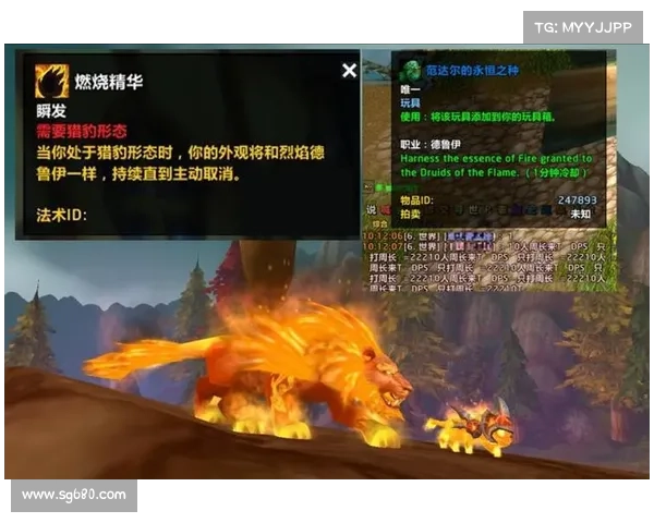 魔兽世界怀旧服:驰骋征程,坐骑为王 魔兽世界怀旧服:驰骋征程,坐骑为王